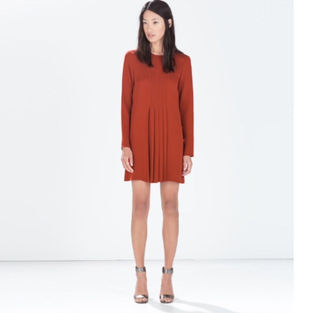 Zara Pleated Long Sleeves Dress